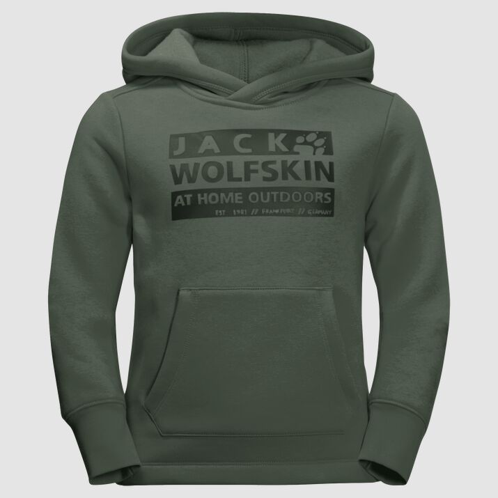 Hoody Jack Wolfskin Brand Niños Verdes Mexico-1193248